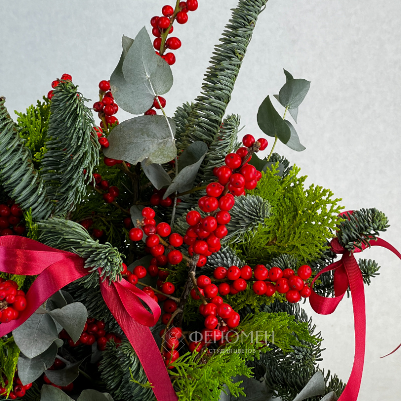 Время чудес 1